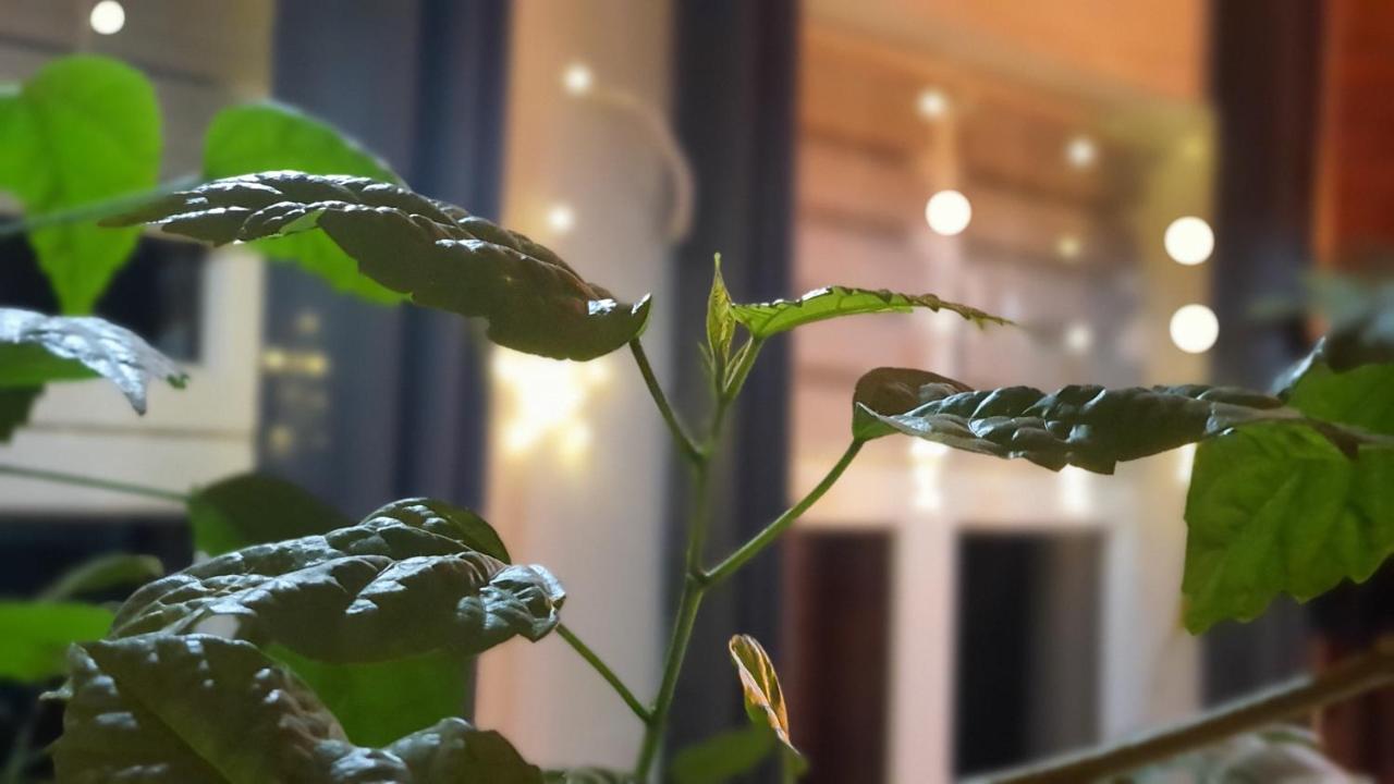 Stara Szkola W Weremowicach Apartamento Weremowice Exterior foto
